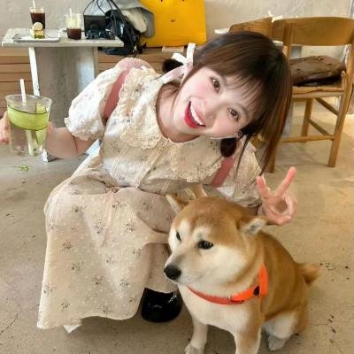 这是什么鬼